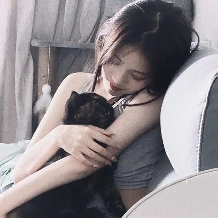 洪拳小子