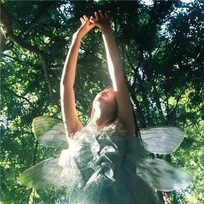 宝可梦遥远的蓝天